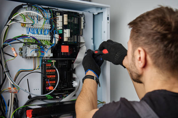 Licensed Electrical Panel Upgrade service in Walworth, WI - No Joke electrician